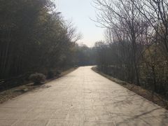 -南山风景名胜区