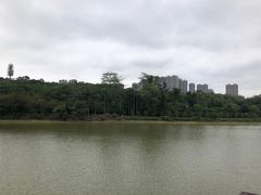 -广西壮族自治区药用植物园