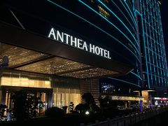 -安蒂娅·海鲜自助餐厅(安蒂娅美兰酒店)