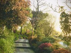 -杭州半山国家森林公园