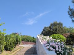 -铁道游击队纪念馆