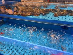 -海底捞火锅(长宁路龙之梦店)