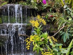 -东莞植物园