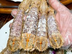 -友强·23年特色海鲜大排档(厦门店)