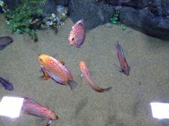 -苏州海洋馆