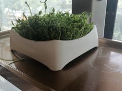 -海底捞火锅(嘉兴杉杉in象生日主题店)