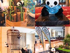 -成都保利公园皇冠假日酒店(熊猫基地店)