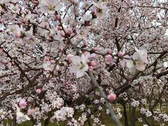 -长春公园(普阳街道)