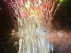 -花博汇(知音花月夜)