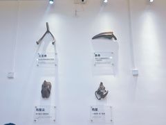 -萍姨抻面馆·鸡架冒菜(清湖店)