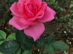 -韶关经律论国际酒店温泉