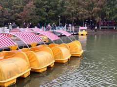 -上海海湾国家森林公园