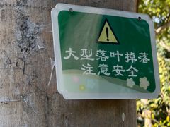-仙岳公园