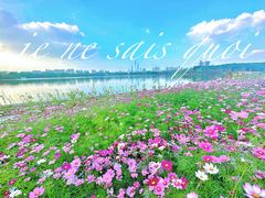 -海珠湖公园