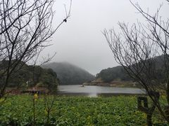 -广州市石门国家森林公园