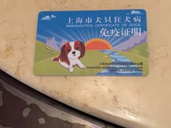 -申普宠物医院·心脏介入·心血管微创(总院)