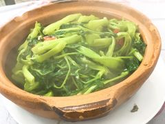 腐乳通心菜-凤城康记饭店