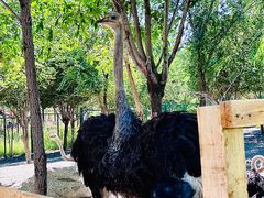 -水上乐园·欢乐世界