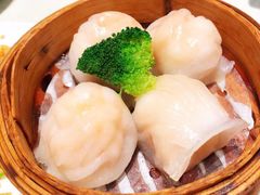 -南枝记