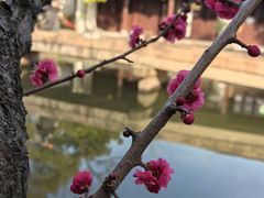 -丝绸小镇荻港古村