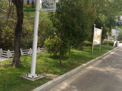 -金鸡岭桥头公园