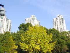 -苏州河梦清园环保主题公园