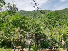 -王顺山国家森林公园
