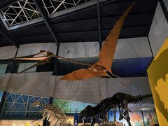 -湖南省地质博物馆