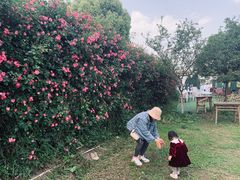 -秀丽东方