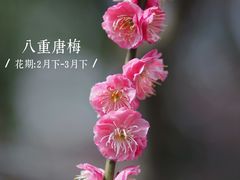 -静安雕塑公园