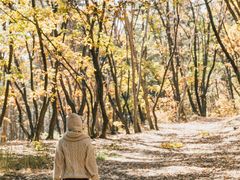 -帽儿山国家森林公园