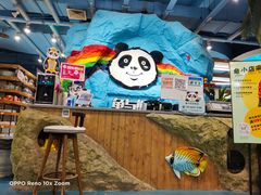 -龟与熊猫宠物公园(南坪店)