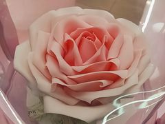 -CAKE BOSS 蛋糕老板(北京世纪金源购物中心)