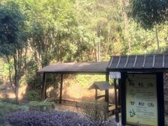 -明月山天沐温泉度假村