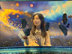 -顺德南宏海立方海洋公园