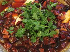 精品毛血旺-成都驻京办餐厅(蜀都宾馆店)