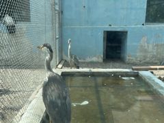 -青藏高原野生动物园