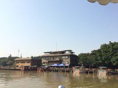 iphone_upload_pic-大湾区中央湿地公园