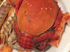 老虎蟹-松咖啡自助餐厅·松北香格里拉