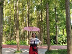 -黄海国家森林公园