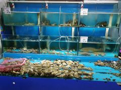 水产区-1910老鲁味海鲜·戳子肉·青岛菜(金沙滩店)