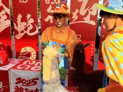 -灵玲国际马戏城