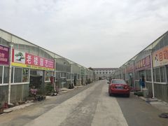 -龙大花卉苗木市场