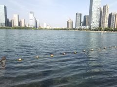 -天鹅湖体育公园