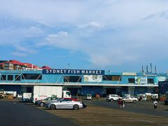 -悉尼鱼市场