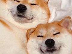 -湘邻呷铺·田园家宴(汉基广场店)