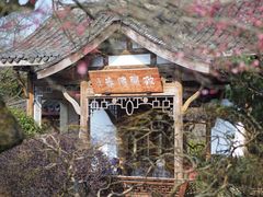 -杭州植物园