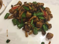 -金蝉食府(维吉奥广场店)