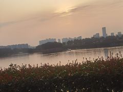 -洋湖国家湿地公园