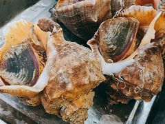 -火娃菜馆(新岭花园1期店)